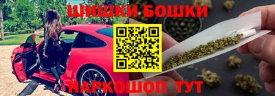 стаф Новозыбков
