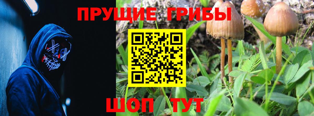 Пыть-Ях  Галлюциногенные грибы Magic Shrooms  Вход с VPN 